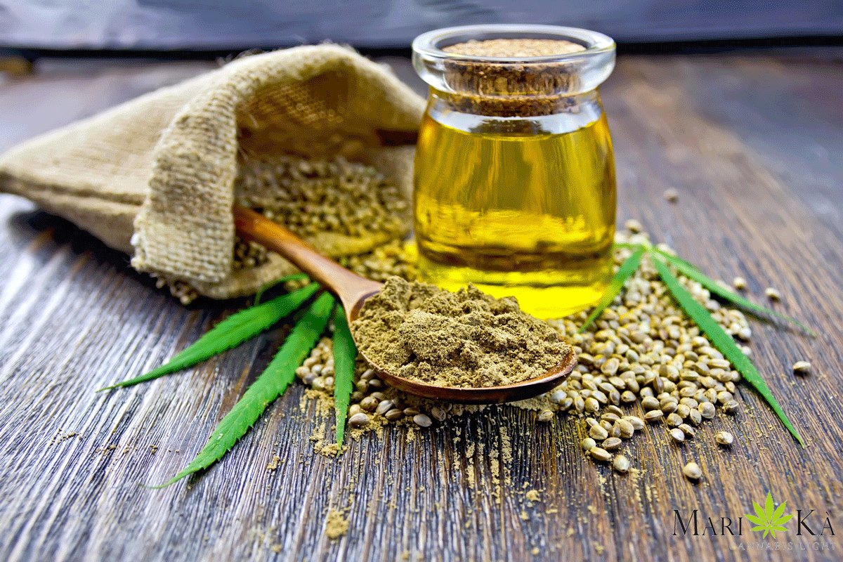Olio di canapa che cos'è e perché fa così bene Marikà Cannabis Light