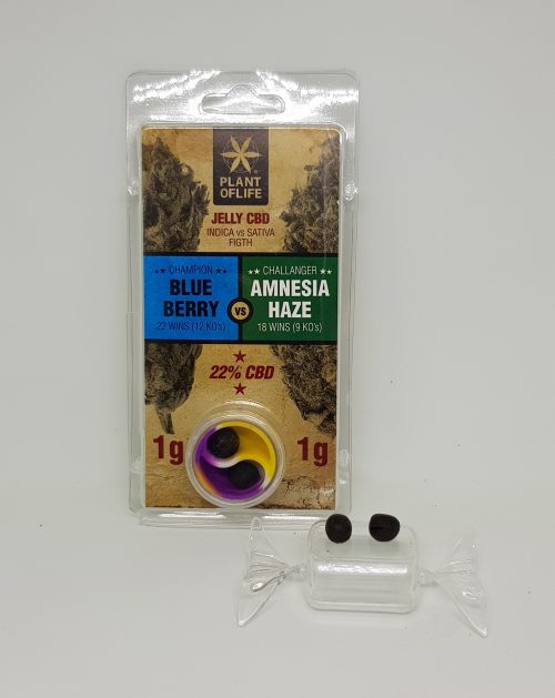 BLUE BERRY / AMNESIA polline CBD 22% - immagine 2