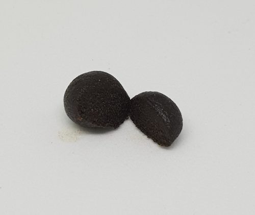 KILLER KUSH polline 22% CBD - immagine 2