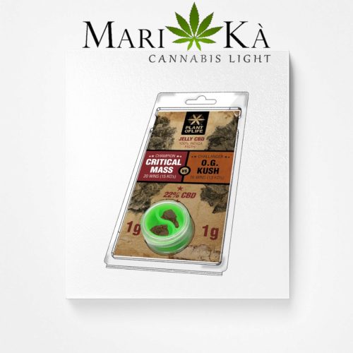 CRITICAL MASS / O.G. KUSH polline 22% CBD