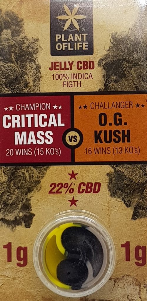 CRITICAL MASS / O.G. KUSH polline 22% CBD - immagine 3