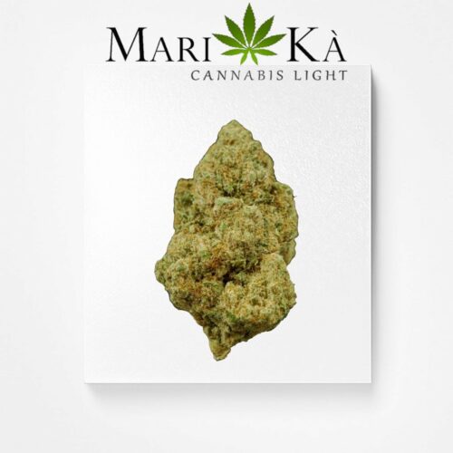 AMNESIA HYDRO PREMIUM