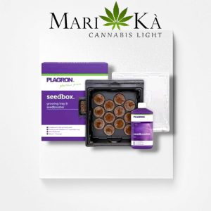 PLAGRON SEEDBOX KIT GERMINAZIONE