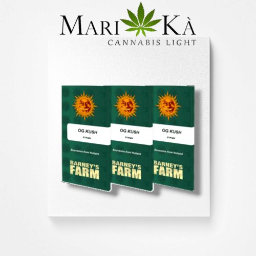 OG KUSH 1 SEME FEM - BARNEY'S FARM - immagine 2