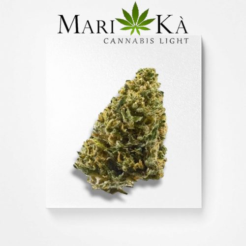 WHITE WIDOW SPECIAL PRICE