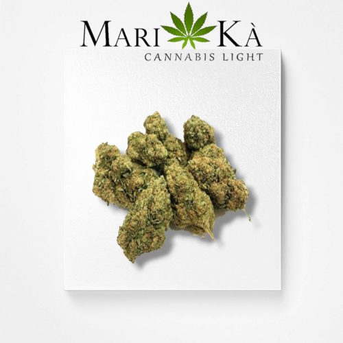CRITICAL MASS SPECIAL PRICE