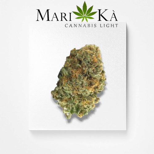 AMNESIA HAZE PREMIUM