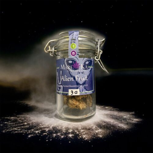 ALIEN PREMIUM - immagine 2