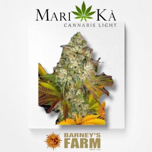 COOKIES KUSH 1 SEME AUTO - BARNEY'S FARM