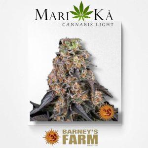 GIRL SCOUT COOKIES 1 SEME FEM - BARNEY'S FARM