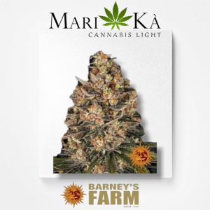 LEMON DZIZZLE 1 SEME FEM - BARNEY'S FARM