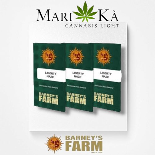 LIBERTY HAZE 1 SEME FEM - BARNEY'S FARM - immagine 2
