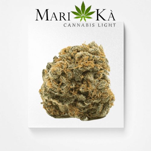 AK-47 PREMIUM
