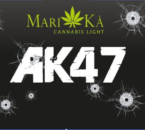 AK-47 PREMIUM - immagine 3