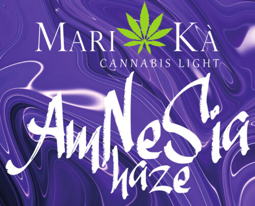 AMNESIA HAZE PREMIUM - immagine 3